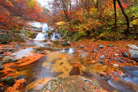 Waterfall With Trees Red Leaves Rocks And Stones In