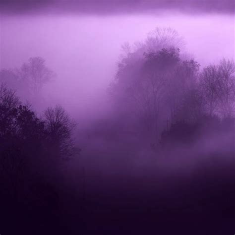 Stream Purple Mist By Miloth3cat Listen Online For Free On Soundcloud