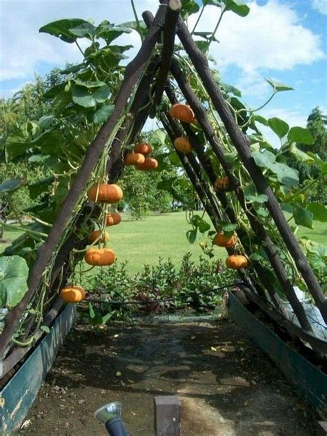 24 Successful Ways To Building Diy Trellis For Veggies And Fruits
