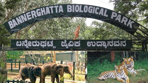 Bannergatta Biological Park National Park In Bangalore Bannergatta
