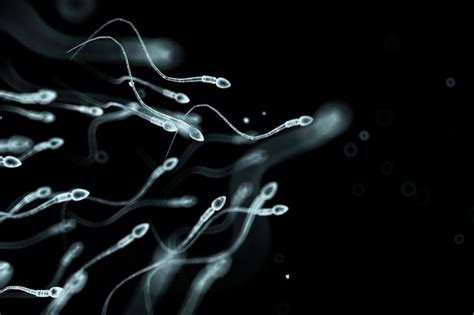 Rhythm Sperm Swim At Revealed In Breakthrough For Treating Male Infertility Mirror Online