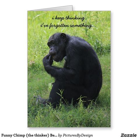 Funny Chimp The Thinker Belated Birthday Card Funny Graduation Cards