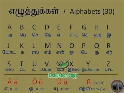 Online latin translation is done for free. Learn German through Tamil - lesson 1 - YouTube