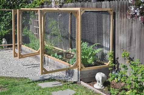 How To Keep Squirrels Out Of Raised Garden Beds New York Garden