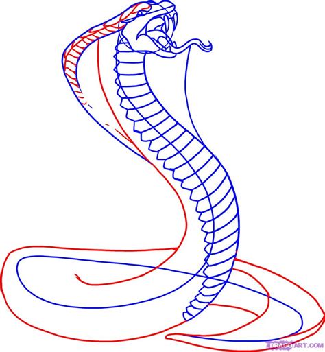 How To Draw A Snake Snake Drawing Skull Art Drawing Snake Art