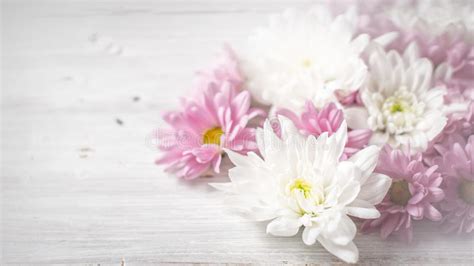 Parcourez notre sélection de arrière plans rose : Fleurs Blanches Et Roses Sur Le Large écran En Bois Blanc ...