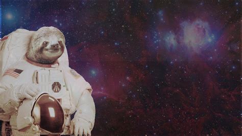 Sloth Astronaut Wallpaper Wallpapersafari