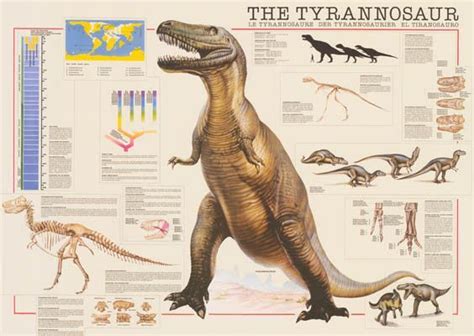 Tyrannosaurus Rex Dinosaur Education Poster 26x38 Tyrannosaurus Rex