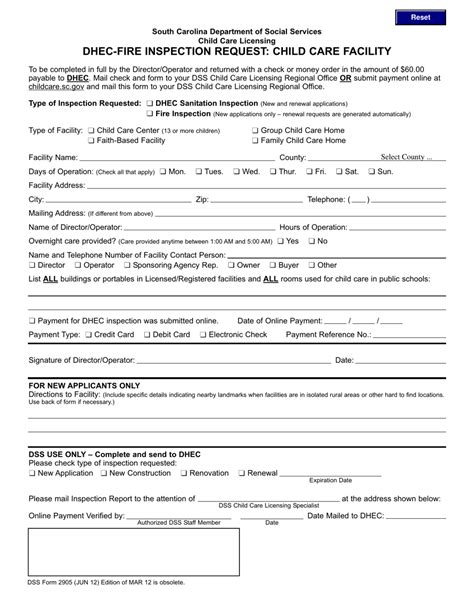 Dss Form 2905 Fill Out Sign Online And Download Fillable Pdf South