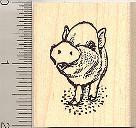 Cute Pig Rubber Stamp E9014 Rubberhedgehog Rubber Stamps