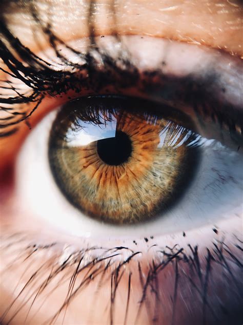 Close Up Photo Of A Human Eye Pixeor Large Collection Of