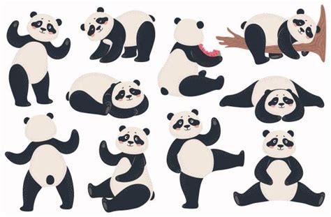 Panda Set Cartoon Illustration Cute Baby Panda Bears Various Poses