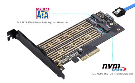 Amazon Com Dual M Pcie Adapter For Sata Or Pcie Nvme Ssd With