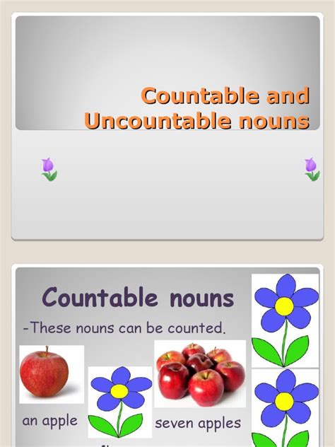 Countable Uncountable Nouns Noun Cuisine Free 30 Day Trial Scribd