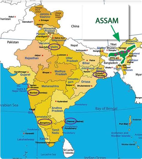 India12 Dead 15 Injured In Kokrajhar Market In Assam