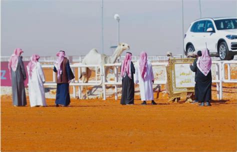 Women’s Camel Beauty Contest Concludes At King Abdulaziz Festival In Riyadh Eye Of Riyadh