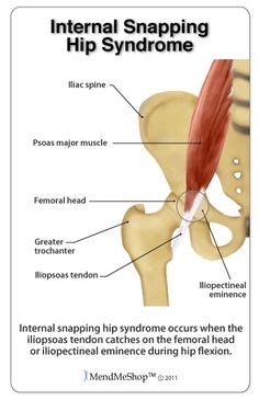 The scapula, or shoulder blade, is the largest bone of the shoulder and has 17 different muscles attached to it. Pin on Physical Therapy Goodies