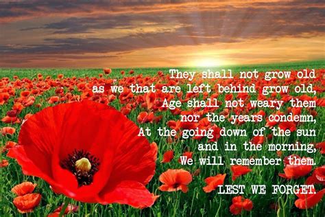 Twitter Lest We Forget Remembrance Day Remembrance Day Poppy