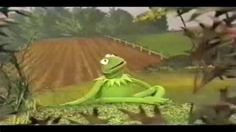 Kermit Settles His Depression Youtube