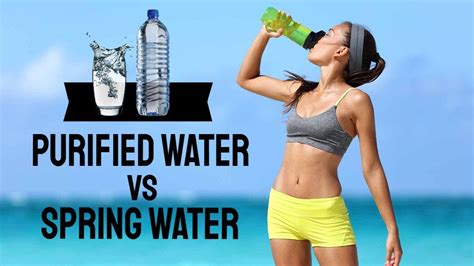purified water vs spring water which water is the best one 🚰 youtube