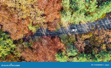 Aerial Drone View Of Autumn Landscape And Road From Above Yellow