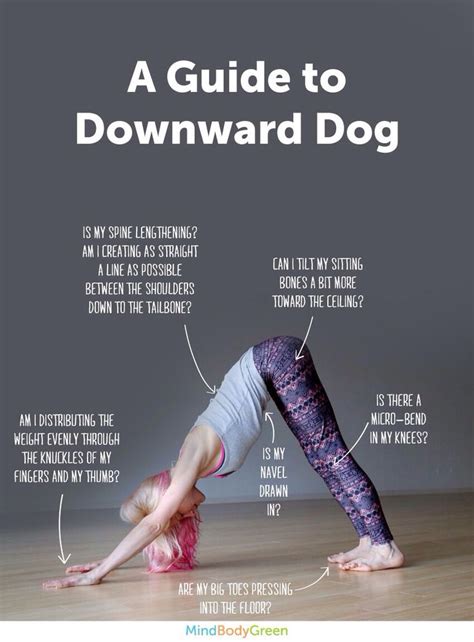 Though, there are a few things you need to most platforms have different class levels depending on how advanced you are at yoga. Yoga Alignment Workshop Series: Downward Facing Dog, Adho ...