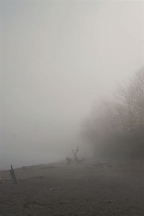 Fog At Dawn By Aleidaillustrates Fog Photography Dawn