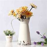 Watering Can Flower Vase Images