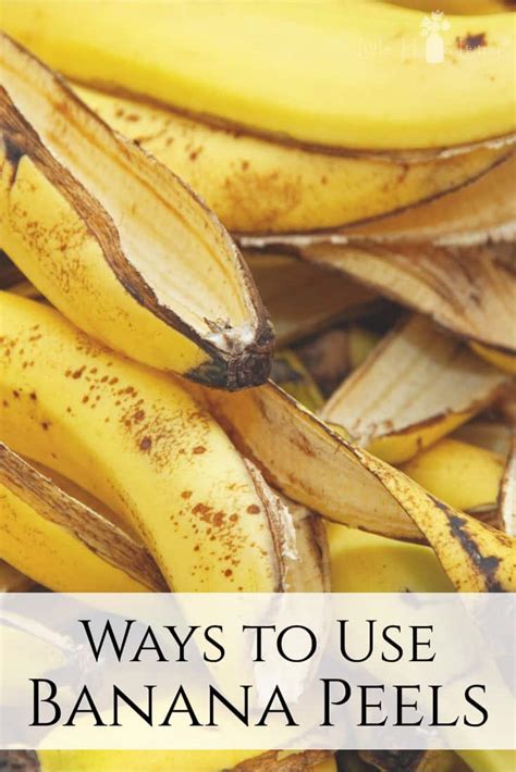 Amazing Banana Peel Uses Ways To Use Banana Peels