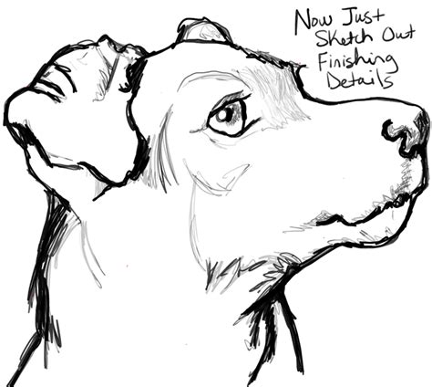 Maybe you would like to learn more about one of these? How to Draw a Terrier's Face / Dog's Face with Easy Steps ...