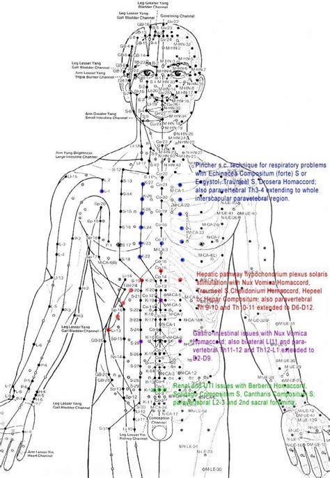 The Re Discovery Of The Human Energy Field Think Smarter World