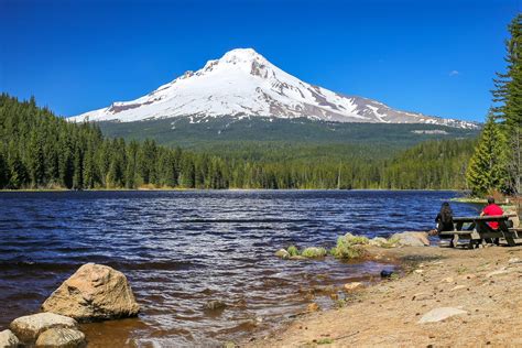 Trillium Lake Hike Best Times For Hiking And Epic Views