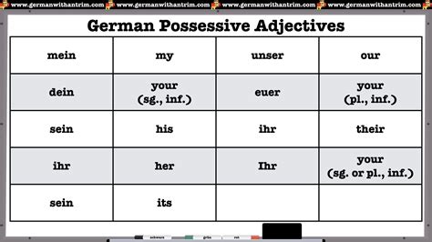 Possessive Adjectives In German