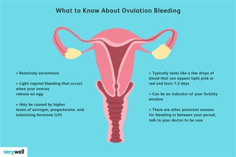Ovulation Bleeding Causes Signs And What You Can Do
