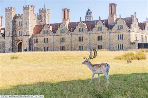 A Beautiful Day At Knole Park In Sevenoaks Our World For You