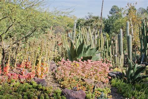 Your huntington gardens pasadena stock images are ready. A Visit to Huntington Gardens, Pasadena, CA — Print Club ...
