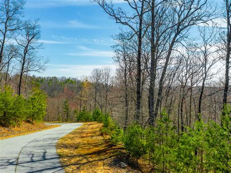 Wooded Lot W Electric And Paved Roads Land For Sale By Owner In