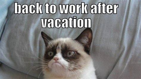 The 10 Back To Work Memes That Sum Up How We Really Feel Nz