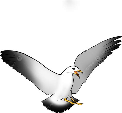 Desenho De Linha Clipart De Gaivota Voadora Png Branco O Mar