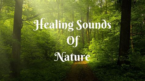 Healing Sounds Of Nature Youtube