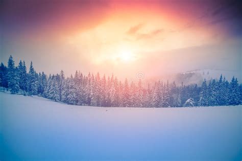 Colorful Winter Sunset In The Carpathian Mountains Stock Image Image