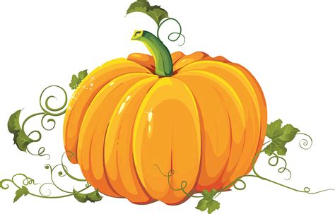Pumpkin Png Transparent Image Download Size 3503x2240px