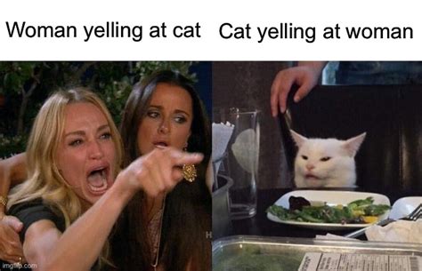 Woman Yelling At Cat Imgflip