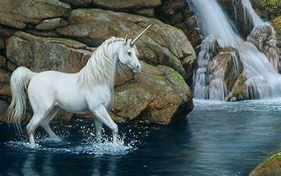 Horse Horses Stylish Wallpapers Running Backgrounds Mystical