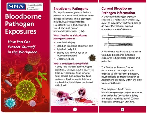 There are a few ways that pathogens may be transmitted a few ways, depending on the form. Bloodborne Pathogens - Articles - Health & Safety ...