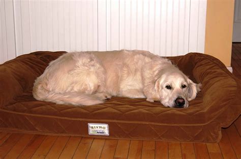Golden Retriever Dog Bed Petsidi