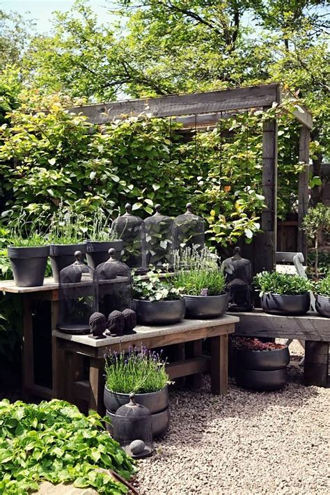 Gardening at home can be a great hobby for anyone. Creative Ideas: Home Gardens