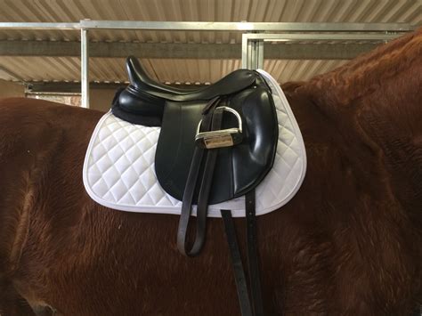 Saddle Advice For You And Your Horse Part 1 Equitopia Center