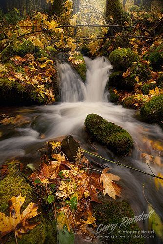 Still Creek Autumn Beautiful Nature Beautiful Waterfalls Waterfall