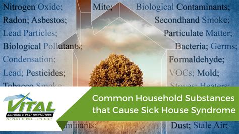 Sick House Syndrome Vital Building And Pest Inspections